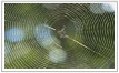 MakeitClick -  Web Design